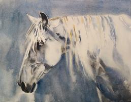 CABALLO BLANCO